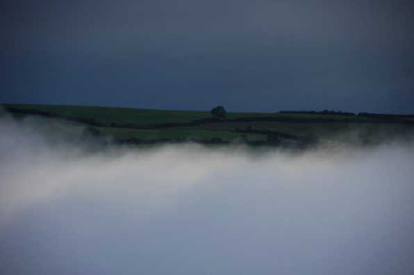 23 September 2022 - 08:01:23
And when a cloud is low we call it mist. And sometimes the sun obliges with a little topping. You're looking at the fields just above the Golf House.
----------------
Sun and mist over river Dart